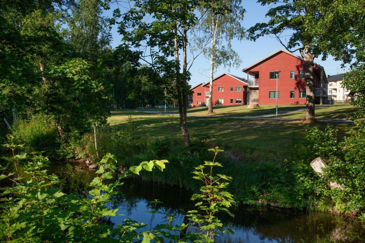 Röda bostadshus vid en grön gräsyta med björkar och en bäck i förgrunden